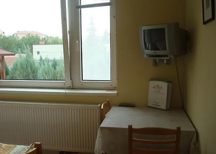 Apartment Vincze Vendeghaz