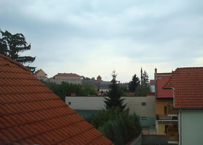 Vincze Vendeghaz *