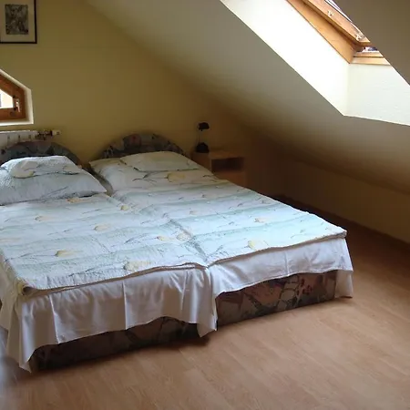 Vincze Vendeghaz Apartment