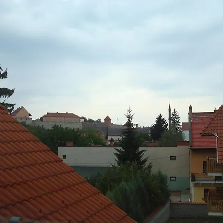 Vincze Vendeghaz *